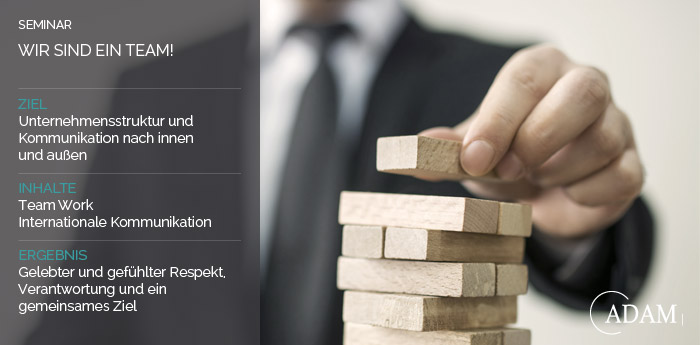 Seminar - Teamcoaching